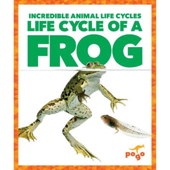 Pre-Owned Life Cycle of a Frog (Hardcover) by Karen Kenney