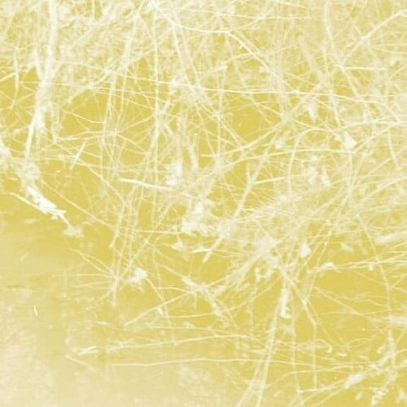 Celer - Cursory Asperses - Music & Performance - CD