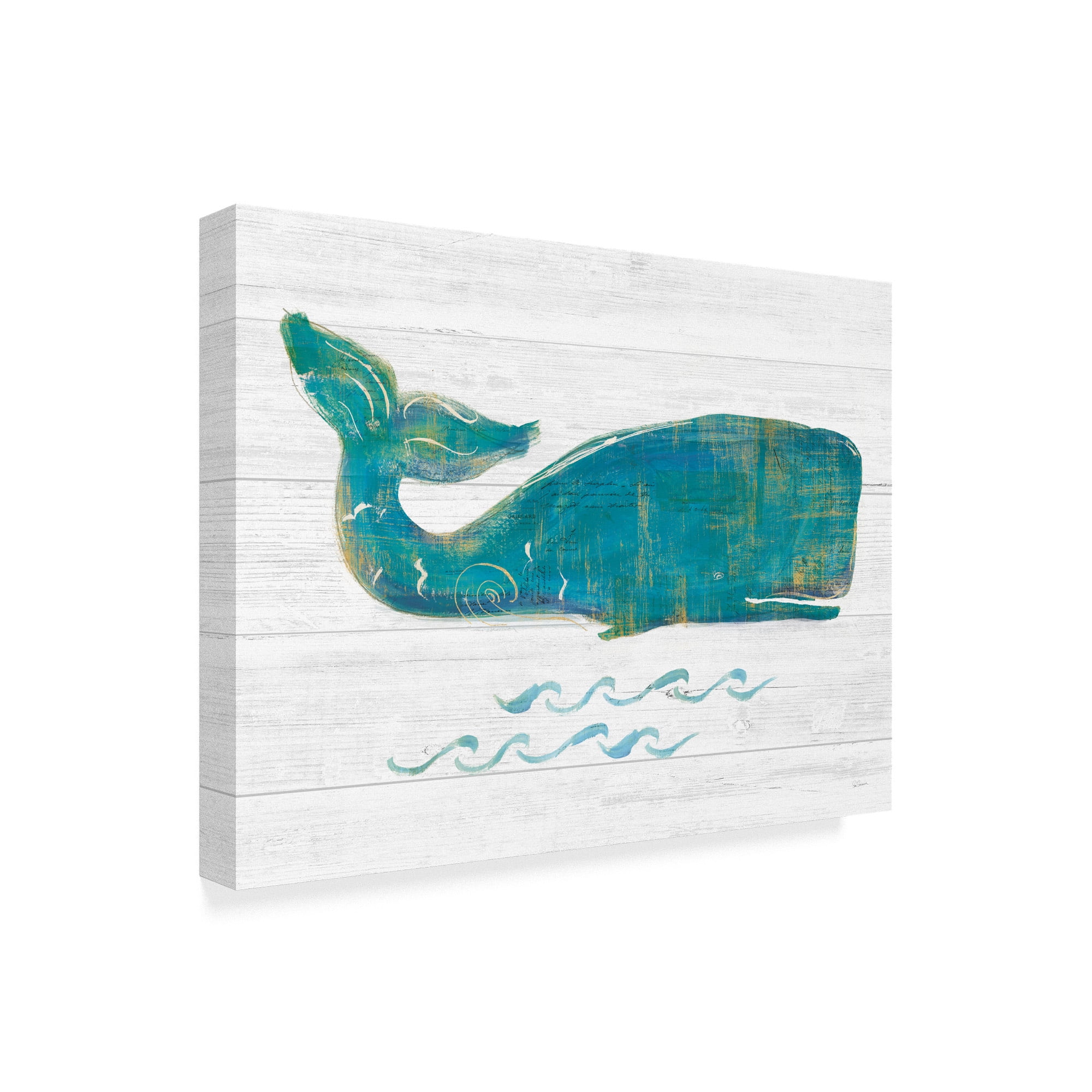 Trademark Fine Art 'On the Waves I Light Plank' Canvas Art by Sue Schlabach
