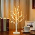thumbnail image 2 of Batería con temporizador LED EAMBRITE de abedul artificial de 56 cm, 2 of 7