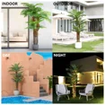 thumbnail image 4 of Colourtree 60 inch Artificial Palm Tree for Outdoors - Triple Phoenix Palm, UV Resistant, Large Fake Silk Palm Tree - Perfect for Patio, Poolside, Home Indoor Aesthetic Decor, 4 of 5