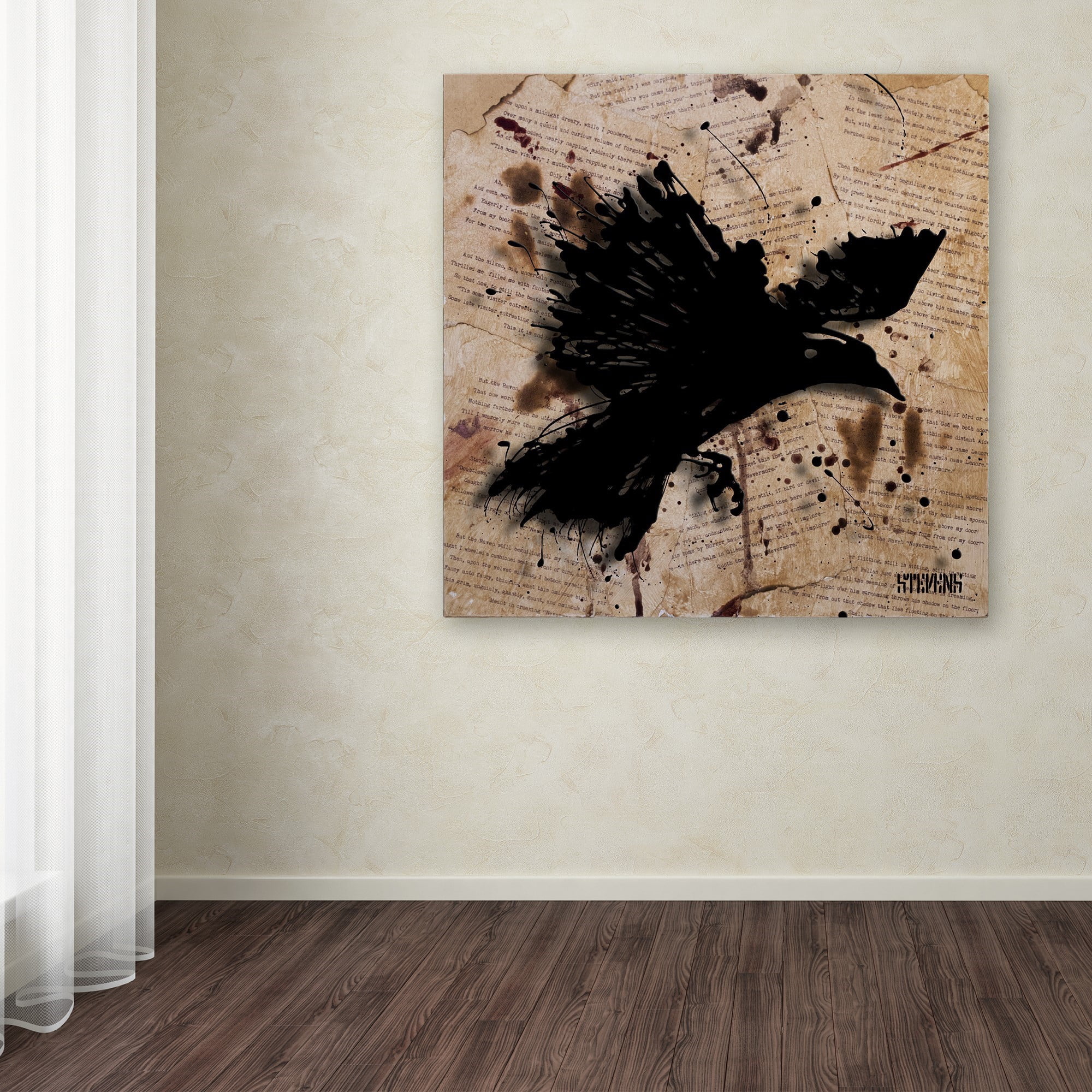 Trademark Fine Art Roderick Stevens 'The Raven 1' 24 x 24 (RS1011-C2424GG)