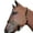 Cheetah, variant on Hilason 1 Inch Fully Adjustable Halter Cheetah Polyester