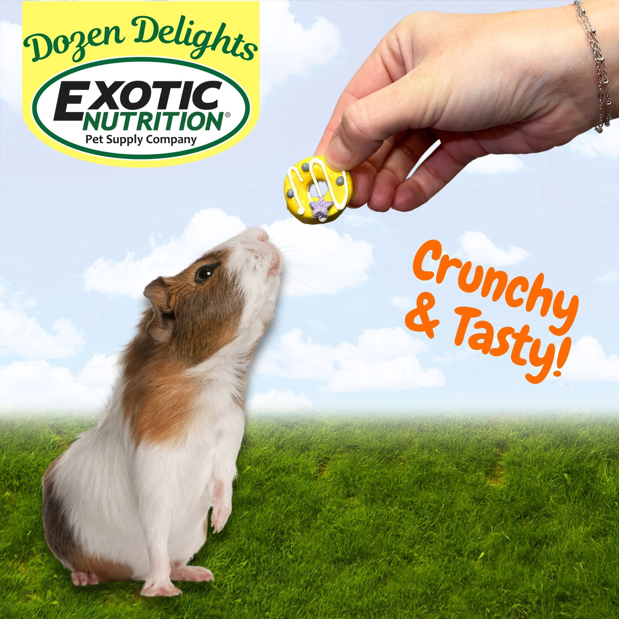 Dozen Delights - Bite Sized Donut Treats (12 Pack)- Rabbits, Guinea Pigs, Hamsters, Chinchillas, Rats, Squirrels & Other Small Animals (4.6 oz.)