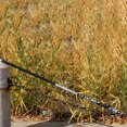 thumbnail image 2 of kurtrusly Carbon Fishing Table Rods Tight Rod Section Angling Equipment for Angler's Holiday Good Gift, 2 of 9