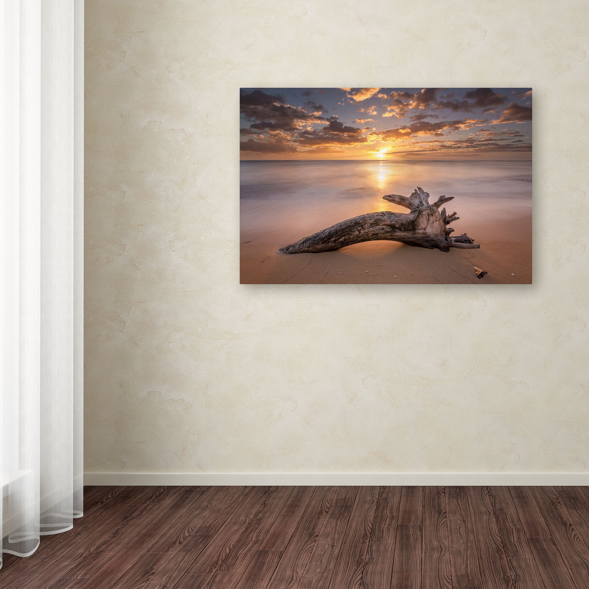 Trademark Fine Art 'Beach Tree Sunrise' Canvas Art by Pierre Leclerc