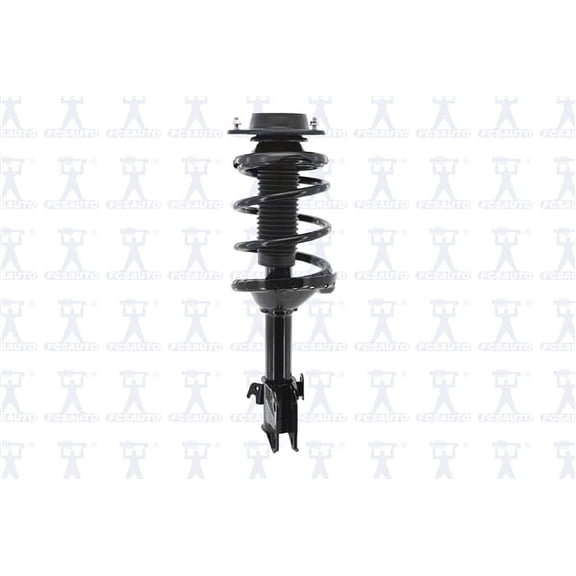 Suspension Strut and Coil Spring Assembly