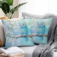 thumbnail image 2 of Waterproof Throw Pillow Covers Set of 2, 20x20 Inch Teal Blue Owl Decorative Pillowcases Outdoor Pillow Slip Cushion Covers Set for Couch Tent Modern Flowers Birds on Branch, 2 of 7