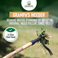 thumbnail image 5 of Grampa's Weeder - The Original Stand Up Weed Puller Tool With Long Handle - Made With 4-Claw Steel Head Design - Easily Remove Weeds Without Bending, Pulling, or Kneeling, 5 of 6