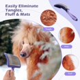 UXIETIN Dog Brush for DHF10 PoodlesBest Dog Grooming Brush for Poodles Dematting, and Detangle