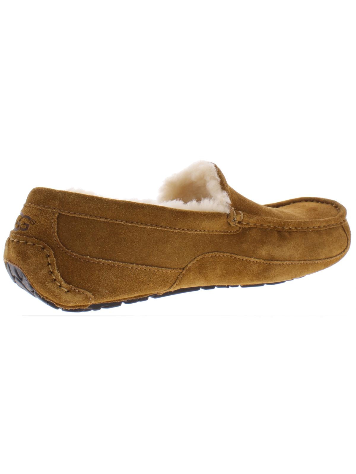 Ugg Men display picture 1