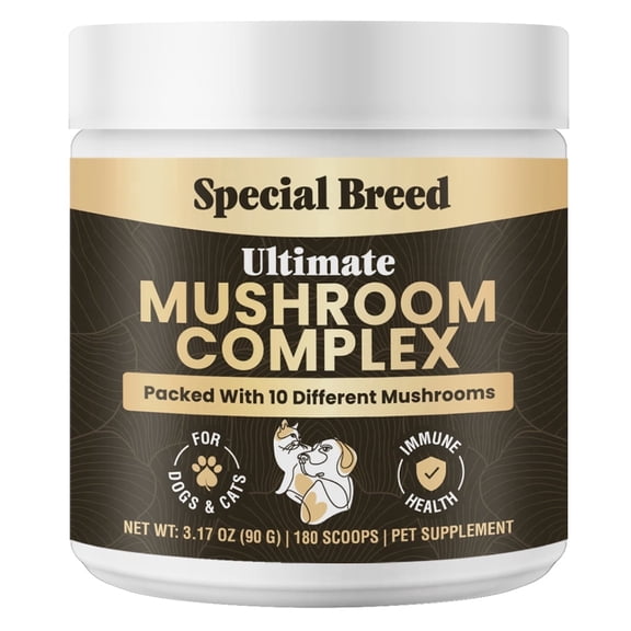 Mushroom Powder for Dogs & Cats - Organic Mushroom Complex for Immune Support, Cognition, Vitality - Ten Mushroom Supplement with Turkey Tail, Lion's Mane, Reishi - 90 Scoops