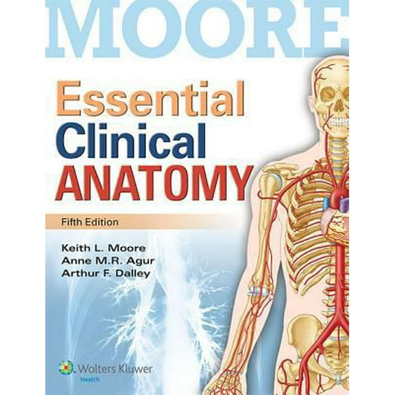 Pre-Owned Essential Clinical Anatomy (Paperback) 1451187491 9781451187496
