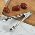 Fruit Olive Pitter Tool Handheld Kitchen Fruit Remover Kit Machine