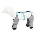thumbnail image 6 of NEW_Dog Paw Boot Leggings,Suspender Boots For Dogs,Protective All-Weather Dog Pants,Dog Strap, with Adjustable Rain Adjust Shoes K8W2, 6 of 6