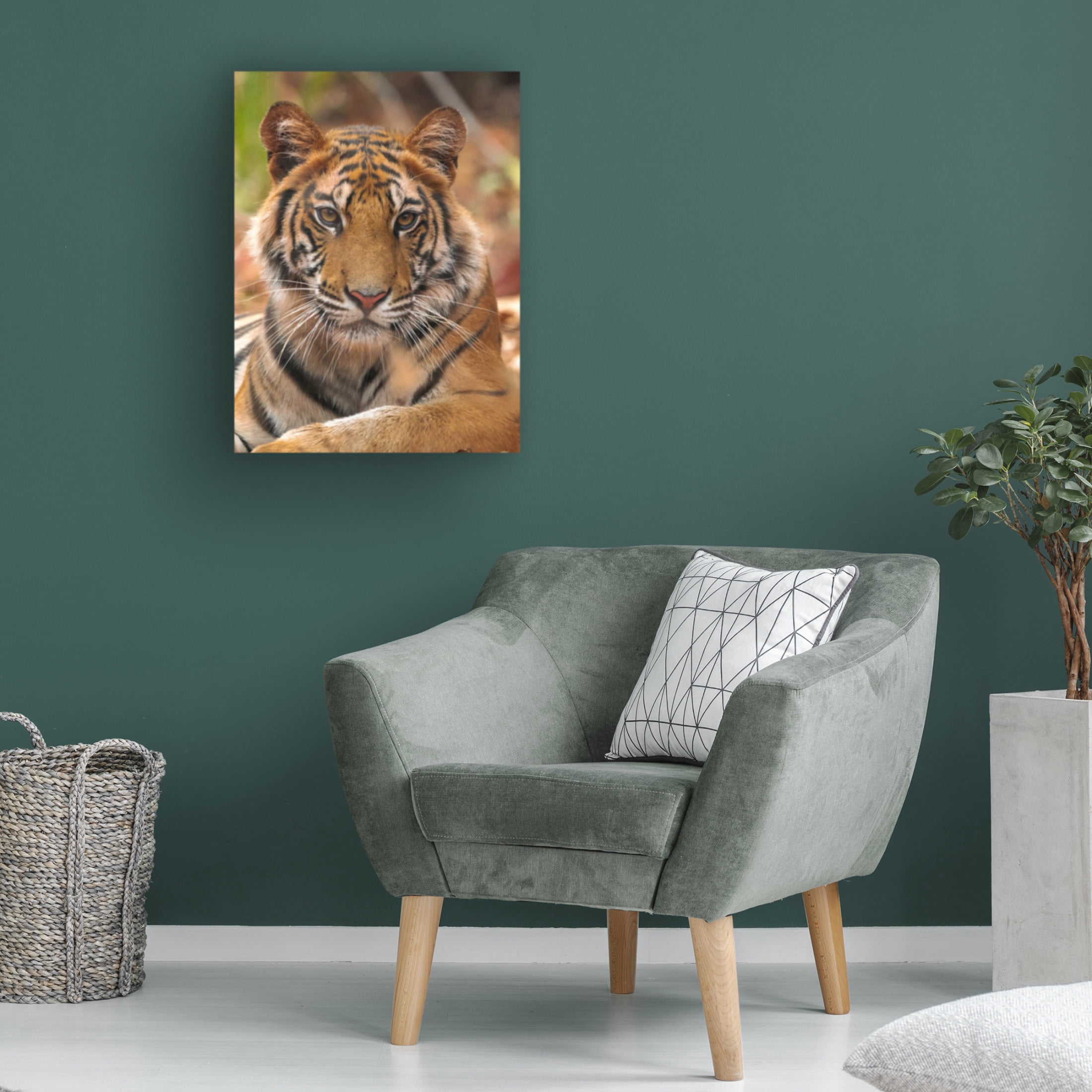 Trademark Fine Art Sumangal Sethi The Tiger Portrait Canvas Wall Art