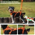 thumbnail image 3 of Arnés elevador para perro ONETIGRIS XS con tira de soporte reflectante, 3 of 7
