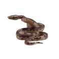 thumbnail image 4 of braveheart Fake Realistic Rubber Snake PVC Plastic Safe Prank Scary Tricky Reptile Parties Toy, 4 of 7