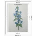 thumbnail image 5 of Art.com Bellflower Art Print by Pierre-Joseph Redoute, White Frame Wall Art, 32" x 40", 5 of 5