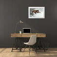 thumbnail image 3 of Stahl, Peter 18x13 White Modern Wood Framed Museum Art Print Titled - Unlucky  Jump, 3 of 4