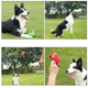 thumbnail image 1 of juguetes para mascotas, látex de estrella de mar, juguetes para mascotas con sonido rojo, juguetes para perros LingWen 8390606677303, 1 of 1
