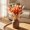 A, variant on 60Pcs Dried Bunny Tails Flowers Red Pampas Grass Natural Dried Floral Arrangement Dry Flowers for Christmas Halloween Boho Decor Home Wedding DIY Craft Decoration (17.7")