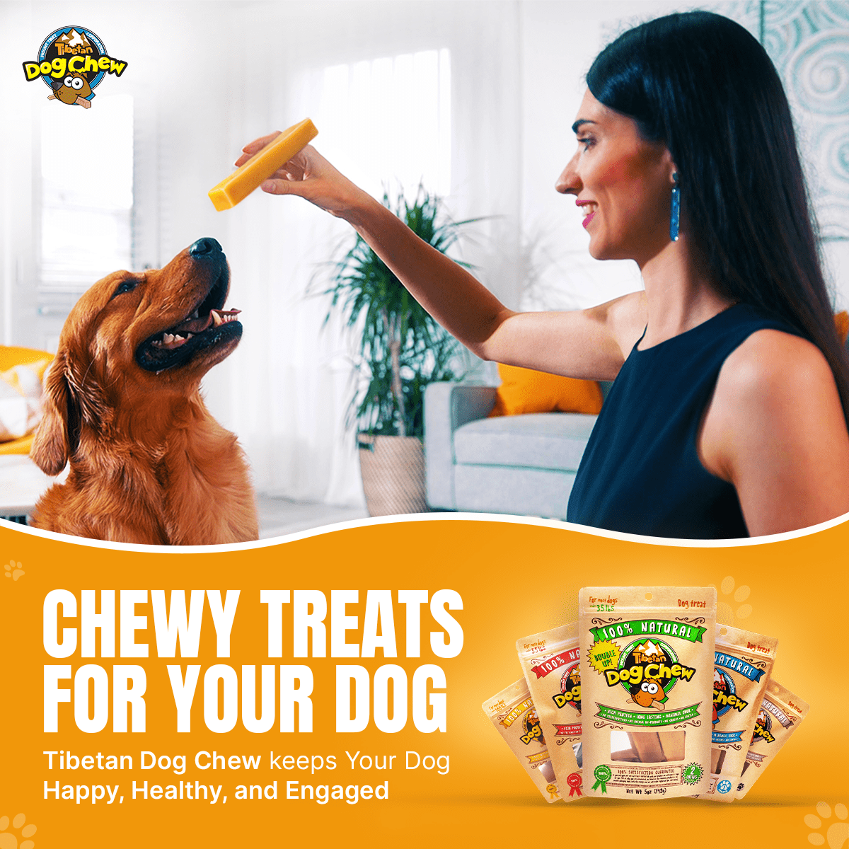 Tibetan Dog Chew Yak Cheese Himalayan Chews for Large Dogs, All Natural, Rawhide Free, 3 Pieces
