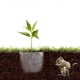 thumbnail image 2 of Root Guard Gopher Proof Wire Basket Mole and Vole Mesh Wire Baskets Underground Stainless Steel Wire for Plants, 2 of 4