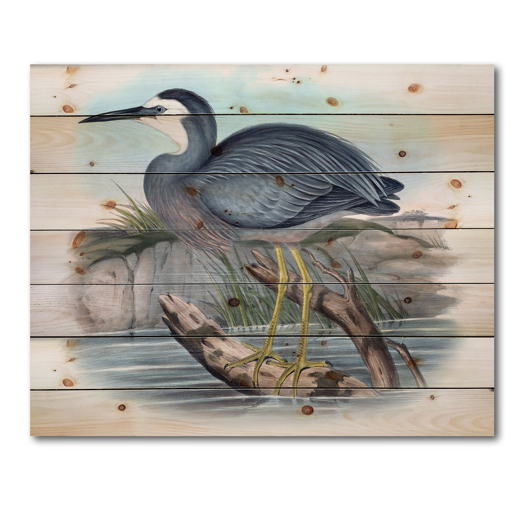 Designart 'Ancient Australian Birds II' Traditional Print on Natural Pine Wood