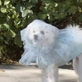 thumbnail image 6 of Pet Muzzle Headgear For Dogs And Cats Blue Breathable Mesh Adjustable Elastic Strap, 6 of 7