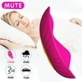 thumbnail image 6 of Birdsexy Wearable Panty Vibrator Sex Toys Clitoris Stimulator,10-Frequency Female G spot Vibrator with Remote Control, Women Vibrating Vulva Massager Vibrator, 6 of 8