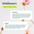 thumbnail image 4 of Suavizante líquido para ropa ATTITUDE Wildflowers, 1 litro, 4 of 5