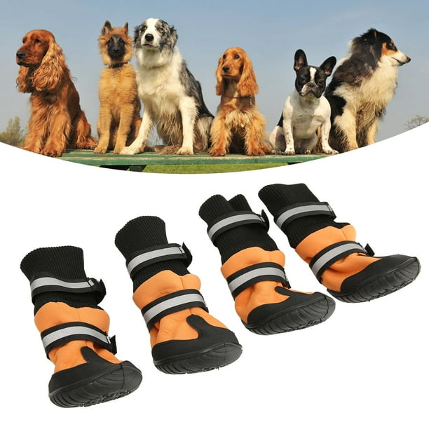 Dog hiking boots sale