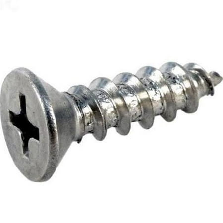 

Pentair Rainbow R172612 10 x 0.75 Flat Head Screw