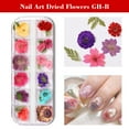 thumbnail image 2 of 1 caja de flores secas mixtas para decoración de uñas, floral natural. yeacher  Calcomanías para uñas, 2 of 7