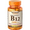 3 Pack - Sundown Naturals B-12 1000 mcg Tablets 60 Tablets Each
