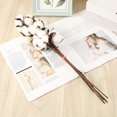 thumbnail image 5 of WIZUTIZ Artificial Cotton Flower Natural Dried Plant For Home Decoration Wedding Centerpiece Table Arrangement Floral Display Household Items for New Apartment House Warming Gifts New Home, 5 of 5