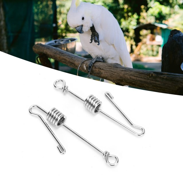 Parrots Leg Buckle, Parrots Foot Buckle, Durable Parrots Foot 2Pcs Stainless Steel Parrots Leg Bird Parrots Parrots Foot For Pet