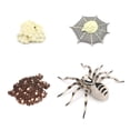 thumbnail image 1 of 1 Set Spade Worm Model Premium Plastic Material Meaningful Insect Figurines Early Educational Growing Models for School Project tarantula, 1 of 6