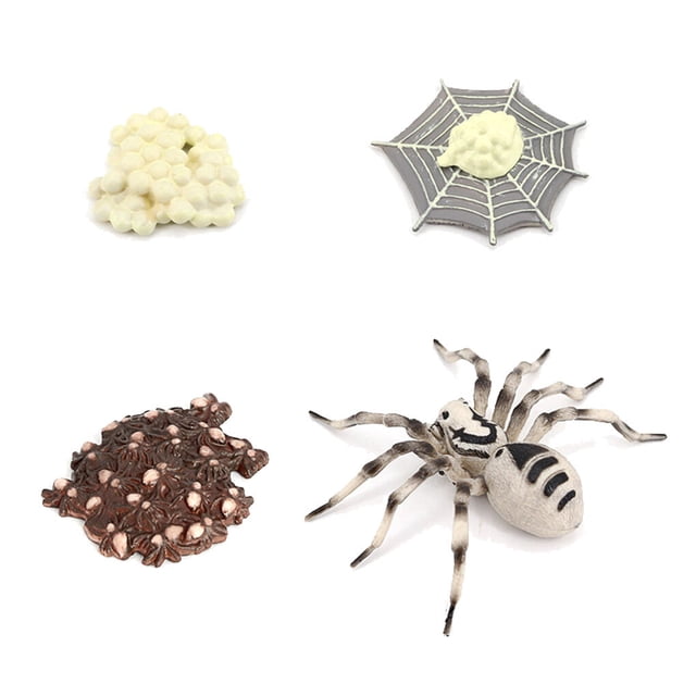 1 Set Spade Worm Model Premium Plastic Material Meaningful Insect Figurines Early Educational Growing Models for School Project tarantula