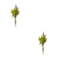 thumbnail image 2 of Ramo de Flores secas naturales Cateissary Elegancia atemporal arreglos de Flores y hojas secas HS-18, 2 of 6