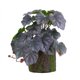 thumbnail image 1 of Decoraciones de Pared para la Sala de Estar Plantas Verdes Simuladas, 23 Hojas, Alumbre Gelatinoso, Flores Artificiales, Decoración Del Hogar, Decoración de Pared de la Planta Decoraciones Del Hogar P, 1 of 1