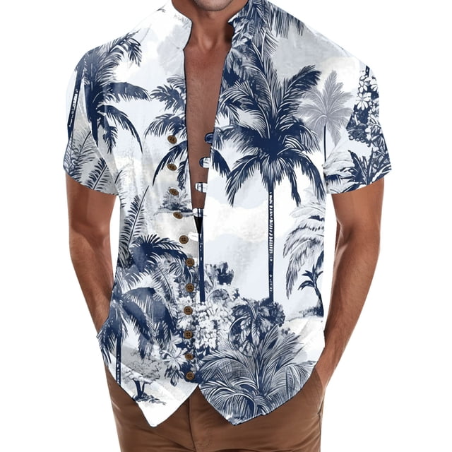 Playeras Camisa de vacaciones en la playa Camisa de cuello con botones en los puños para hombre (Blue, L)