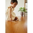 thumbnail image 4 of PlanToys Pull Along Erizo - café (5274), 4 of 4