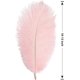 thumbnail image 2 of Xiao Hua 24 plumas de avestruz rosas naturales a granel de 25 a 30 cm para centros de mesa de bodas, fiestas, Pascua, Gatsby y decoración del hogar., 2 of 5