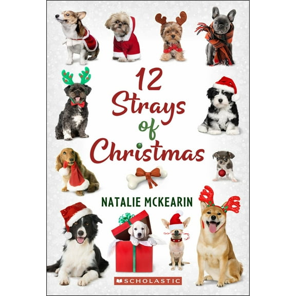 12 Strays of Christmas: a Wish Novel (Paperback)