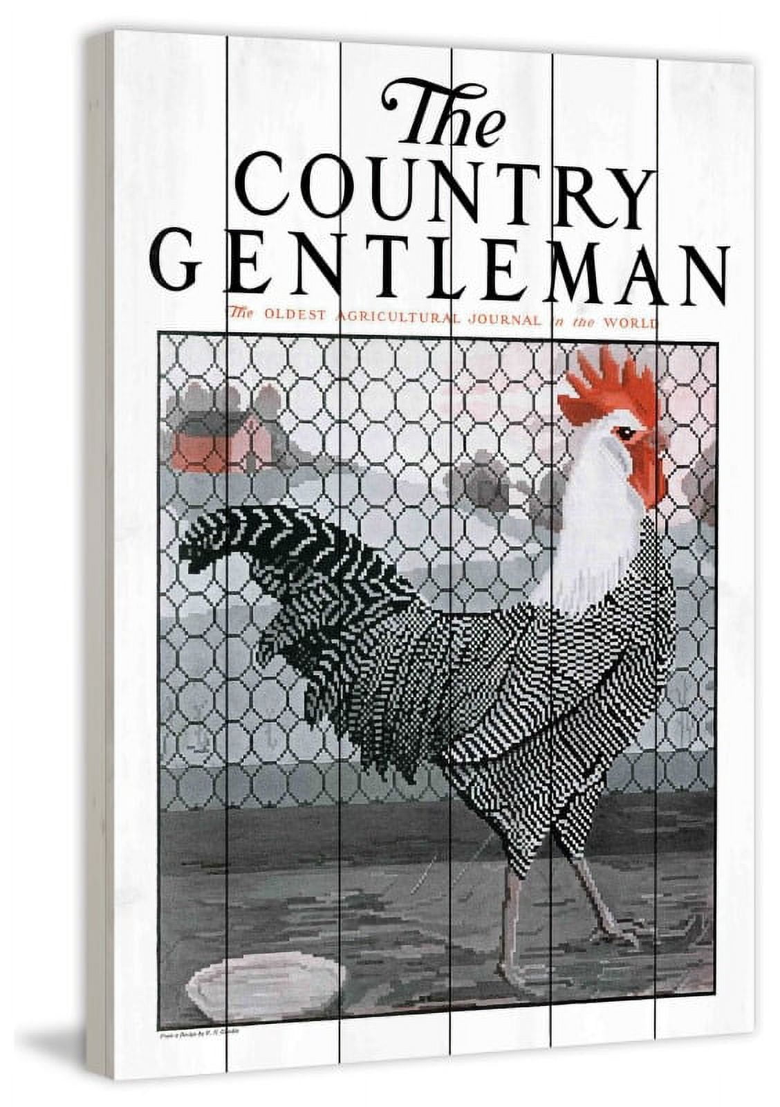 Marmont Hill "CG Rooster 2" Painting Print on White Wood