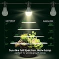 thumbnail image 6 of LED Grow Light Bulb 4 Pack & 3 Hanging Grow Light, 6 of 8