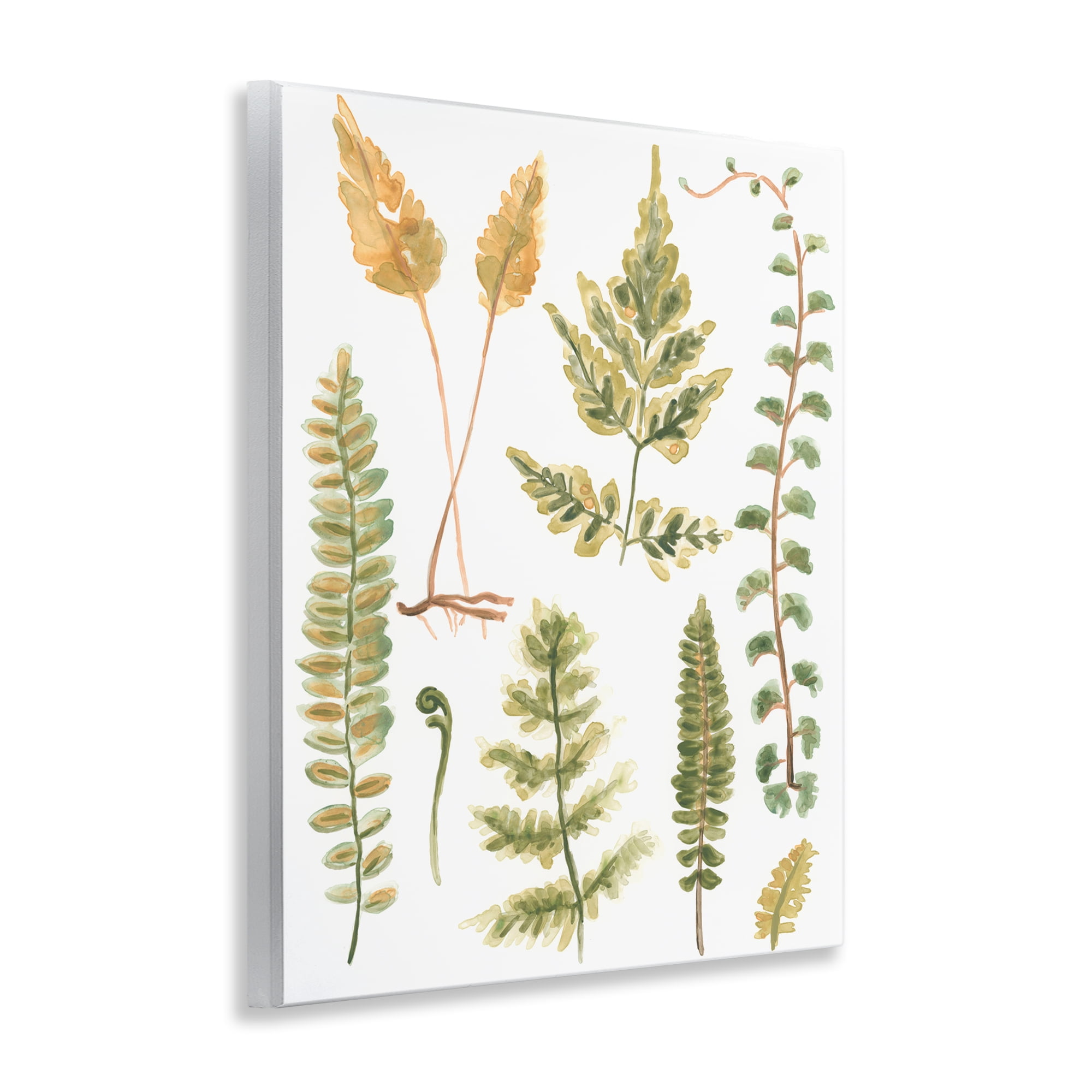 Stupell Industries Varied Fern Leaves Botanical & Floral Painting Unframed Art Print Wall Art, 11 x 14