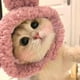 thumbnail image 5 of Pet Cats Dog Costume Hat, Cute Cubby Shape Cozy Cats Headband Decorative Cap For Small Medium Cats And Dogs,, 5 of 8